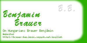 benjamin brauer business card