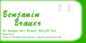 benjamin brauer business card